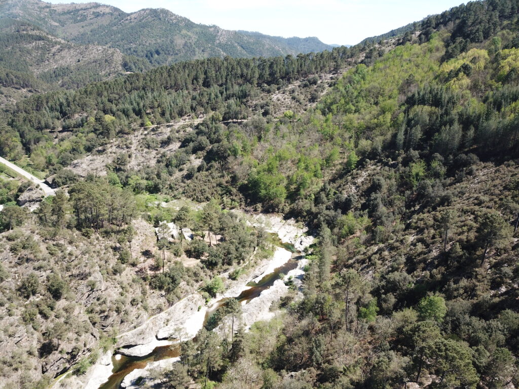Gîte Cévennes